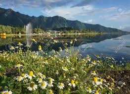 Maybe you would like to learn more about one of these? Landscape Of Dal Lake With Wild Flowers In Srinagar India Srinagar The Summer Capital Of Jammu Kashmir Is As Beautiful As It Is Politically Unstable Stock Photo Picture And Royalty Free