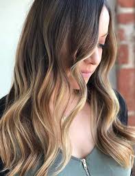 The long dark brown hair looks great with the touch of sandal blonde highlights. 20 Amazing Brown To Blonde Hair Color Ideas