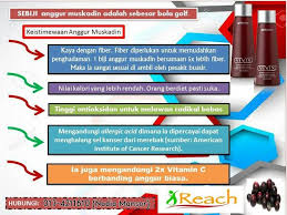 Vitamin Shaklee Terbaik Untuk Dihadiahkan Kepada Ibubapa Info Kesihatan Vitamins Shaklee Grapes