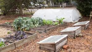 Wildfire service was called to a massive fire at a lumber yard north of vernon on thursday. 5 Tips For Overcoming Being Overwhelmed By The Garden Rake And Make