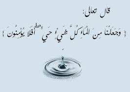 و ج ع ل ن ا م ن ال م اء ك ل ش ي ء ح ي فعالية قرآني نبض حياتي عالم حواء