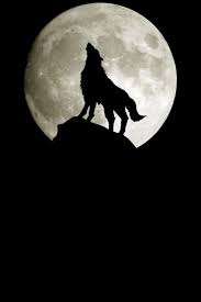 Relax And Forget Life For A Sec Wolf Wallpaper Wolf Howling Bark At The Moon