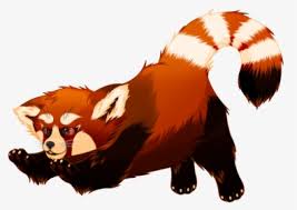 Red Panda Png Images Free Transparent Red Panda Download Kindpng Tap to play or pause gif. red panda png images free transparent
