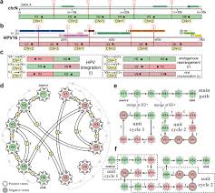oncovirus integration