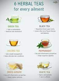 6 Herbal Teas Best Herbal Tea Healthy Teas Green Tea Benefits