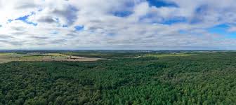 Les forestiers privés s’engagent pour les forêts de demain