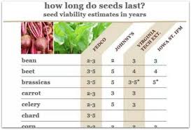 Estimating Viability How Long Do Seeds Last A Way To Garden