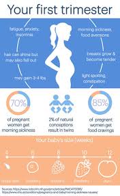 Image result for First Trimester Education
