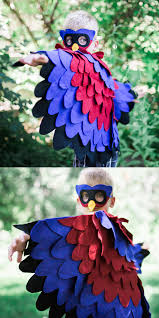 Boy Bird Costume For Kids Superhero Bird Costume Superhero Costumes Kids Super Hero Costumes Superhero Costumes For Boys