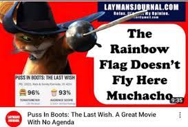 Puss in boots the last wish gay