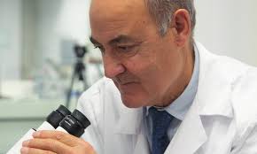 Deseo que sigan trabajando desde el corazón de la Iglesia”