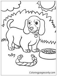 607 x 850 file type: Weiner Dog Puppy Coloring Pages Puppy Coloring Pages Coloring Pages For Kids And Adults