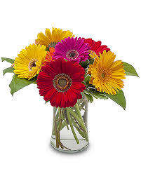 Cas confirmés, mortalité, guérisons, toutes les statistiques Hinsdale Florist Flower Delivery By Hinsdale Flower Shop