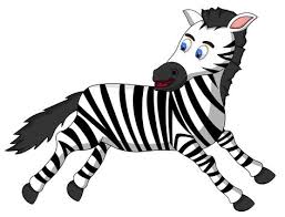 Le Righe Della Zebra Animali Dello Zoo Animali Zebra