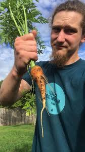 What to plant in a hugel in zone 7a RI USA?