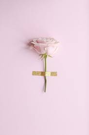 I D Rather Walk Alone Than Play A Supporting Role Aesthethiccc Pastel Pink Aesthetic Pink Aesthetic Pink Wallpaper
