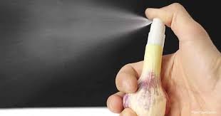 Check spelling or type a new query. How To Make Garlic Spray For Pests Plantcaretoday Com