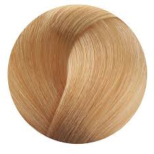 Ion 8g Light Golden Blonde Permanent Creme Hair Color By Color Brilliance Permanent Hair Color Ion Color Brilliance Hair Color Ion Hair Colors