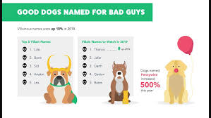 In 1957 she was picked up along with two other strays for the soviet space program. Human Names And Names Inspired By Pop Culture Top The Most Popular Dog Names Of 2018 Archives Petproductnews Com