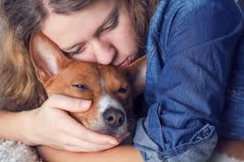 HUD Charges Housing Providers Over Emotional Support Animal