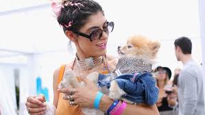 You can get up to 15 of these spg business referral bonuses per year, for a total of 75,000 points. American Express Launches A New Credit Card For Jet Setters With A 450 Annual Fee Marketwatch