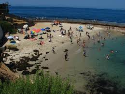 The children's pool beach is closed to the public during the annual harbor seal pupping season (recognized from december to may). Children S Pool Beach History Location Key Facts 2021 Viator