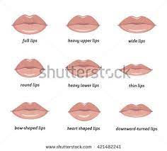 We did not find results for: Various Types Of Woman Lips Set Of Vector Lips Shapes Set Of Illustrations With Captions Lip Shapes Types Of Lips Shape Lip Types