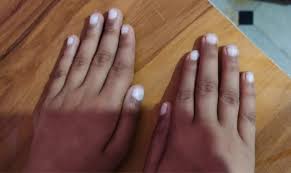 Image result for Mees Line