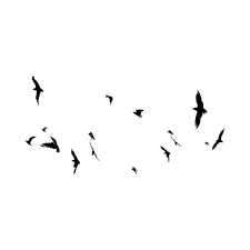 Birds Flying In The Sky Png Dus Intothedarknessfree Birds Png Liked On Polyvore Photoshop Design Photoshop Elements Sky Photoshop