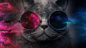 Galaxy Pusheen Cat Wallpaper Laden sie hintergrundbilder mit katzen 4k apk für android herunter.