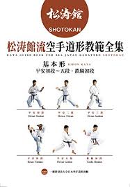 And in karate it refers to a detailed pattern of movements designed to be practised alone. Amazon Com Karate Kata Guide Book For All Japan Karatedo Shotokan Kihongata Japanese Edition Ebook Zennihon Karatedo Shotokan Champ Kindle Store