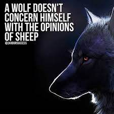 We did not find results for: Wolf Quotes Home Facebook