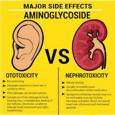 Major Side Effects Of Aminoglycoside Pediatric Nurse Practitioner Nursing Mnemonics Pharmacology Nursing