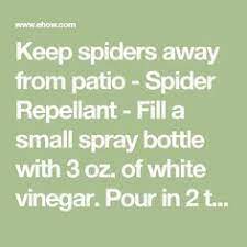 How To Get Rid Of Spiders Hunker Spiders Repellent Keep Spiders Away Spider Spray