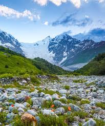 Beautiful Mountain Stream With Colorful Stones On The Shore Stretched Among Large Mountains And Forests Spring Scenery Mountain Photography Beautiful Mountains