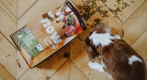 Once you get used to using the exact same foods. Can Diet Impact Yeast Infections In Dogs Now Fresh