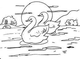 Swan Drawing Stock Photos And Images 123rf To make the details of the feathers, draw short curved lines along the side of your triangle, bringing the lines closer and. swan drawing stock photos and images