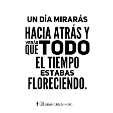 Dame Un Minuto On Instagram Para Ti Que Dudas De Las Capacidades Que Tienes Algun Dia Te Daras Cuenta Que Todo El Tiemp Phrase Home Decor Decals Home Decor