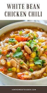 Zucchini Pesto Pasta Raw Vegan Gluten Free White Bean Chicken Chili Chilli Recipes Chicken Chili Recipe