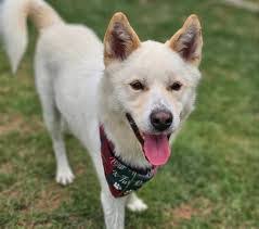 Mason Dade's Instagram, Twitter & Facebook