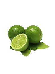 6) limon ağacı ne zaman meyve verir ? Citrus Aurantifolia Lime Misket Limon Fidani 4 5 Yas Saksida Fidan Istanbul Internetten Fidan Ve Fide Siparisi Her Cesit Peyzaj Bitkileri
