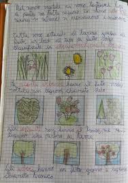 Il mondo delle piante a portata di click! Il Mondo Delle Piante