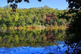 Cranberry lake, received it's name from extensive cranberry bogs it once contained. Cranberry Lake Preserve