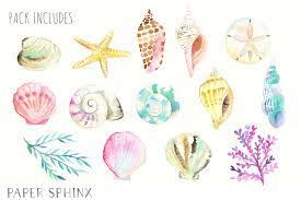 Ocean Seashells Watercolor Pack Seashell Clipart Nautical Watercolor Art