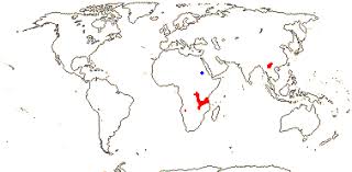 Image result for Sladeniaceae