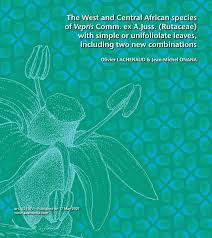 Image result for Vepris renieri