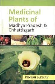 However, there is a whole variety of attractions that are still pristine and unexplored. Buy Medicinal Plants Of Madhya Pradesh And Chhattisgarh Book Online At Low Prices In India Medicinal Plants Of Madhya Pradesh And Chhattisgarh Reviews Ratings Amazon In