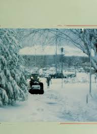 The Rhododendron [serial]