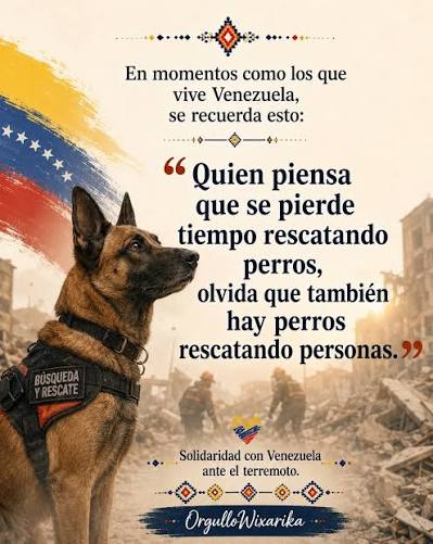 𝗘𝗹 𝗿𝗲𝘀𝗰𝗮𝘁𝗲 𝘁𝗮𝗺𝗯𝗶é𝗻 𝘁𝗶𝗲𝗻𝗲 𝗰𝘂𝗮𝘁𝗿𝗼 𝗽𝗮𝘁𝗮𝘀 🐾🇻🇪  Ante los momentos difíciles que vive Venezuela por el terremoto, recordamos  algo simple: salvar una vida nunca es pérdida de tiempo. Los perros  rescatistas también