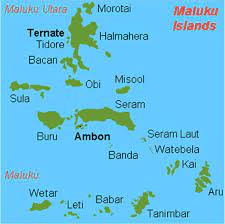 Definition of maluku in the definitions.net dictionary. Map Of Maluku Province Regency 3 Download Scientific Diagram
